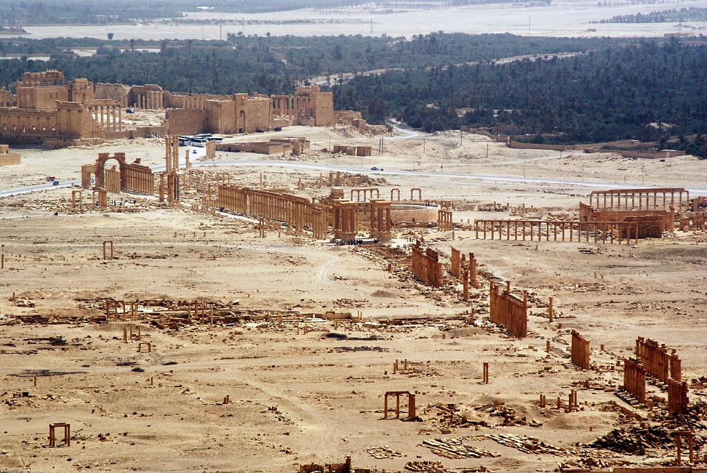 24 Palmira.JPG